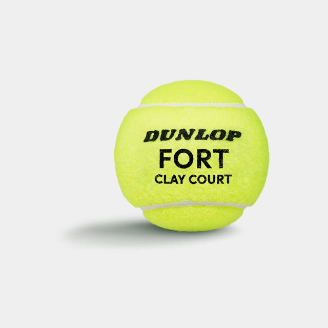 FORT CLAY COURT 4PET