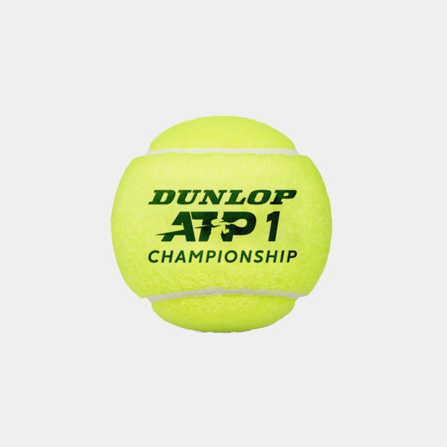 ATP CHAMPIONSHIP 3 PET